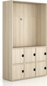 Kancelárska skriňa FRAME, 6x dvere, priestor pre TV, 1299 x 450 x 2162 mm, kódový zámok, dub prírodný