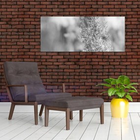 Obraz - Boho pampas grass (120x50 cm)