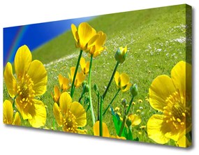 Obraz na plátne Lúka kvety dúha príroda 120x60 cm