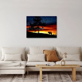 Obraz - Silueta vlka (70x50 cm)