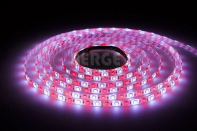 ECOLIGHT LED pásik - RGB+CW - 2,5m - 60LED/m - 14,4W/m - 1500Lm - IP65 - SADA