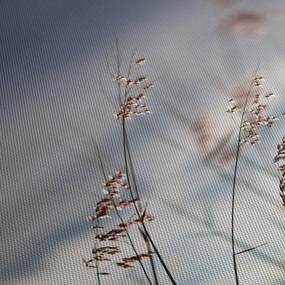 Obraz - Lúčne kvety pri jazere (90x60 cm)