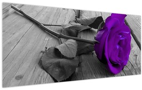 Obraz - Fialová ruža so zelenou stonkou (120x50 cm)