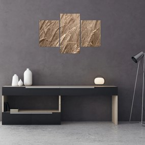 Obraz - Zlaté pole (90x60 cm)
