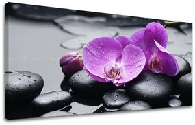 Obraz na stenu PANORÁMA FENG SHUI | rôzne rozmery