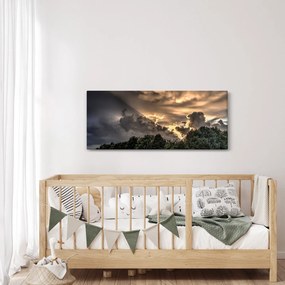 Obraz mračien a lesa (120x50 cm)