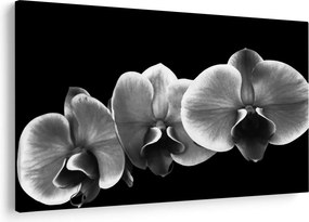Obraz kvetu orchidey (90x60 cm)