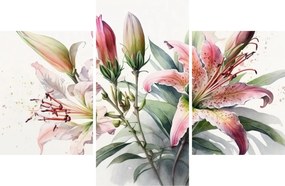 Obraz - Ľalia, ilustrácie (90x60 cm)