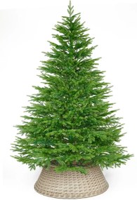 Smrek Benátsky 100% 3D- 200cm