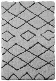 Koberec Shaggy Auckland 0,8/1,5 TD1078-B1