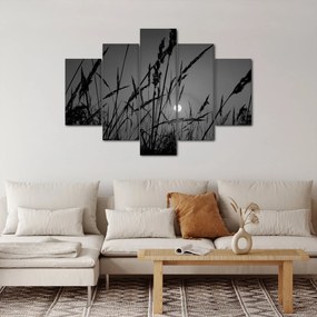 Obraz - Lúka so západom slnka (150x105 cm)