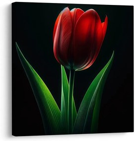 Obraz kvet tulipánu v noci