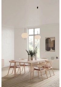 Hnedá jedálenská stolička z dubového dreva Muna – Gazzda