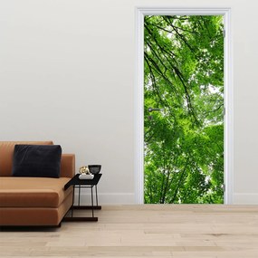Fototapeta na dvere - Pohľad do korún stromov (95x205cm)