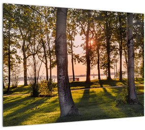 Sklenený obraz stromov pri jazere (70x50 cm)