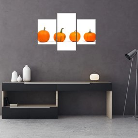 Obraz dyne (90x60 cm)