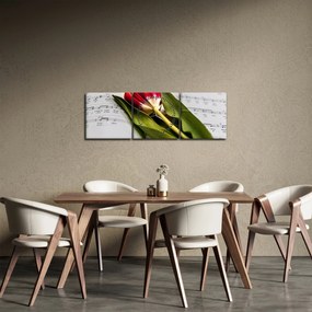 Obraz červeného tulipánu (s hodinami) (90x30 cm)