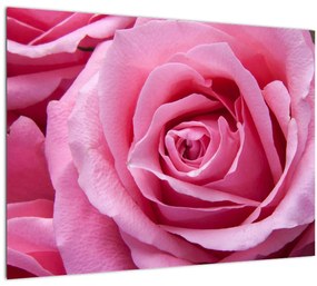 Sklenený obraz ruže (70x50 cm)