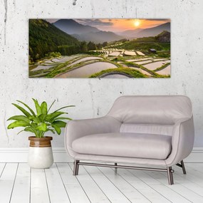 Obraz - Ryžové terasy (120x50 cm)