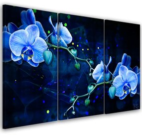 Obraz na plátně třídílný, Modrý orchidej - 120x80 cm