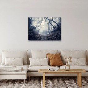 Obraz - Les v hmle (70x50 cm)