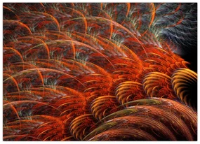 Obraz - Abstraktná imitácia peria (70x50 cm)
