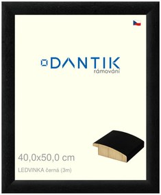 DANTIK rám na obraz 40x50 | LEDVINKA černá (Sklo Čiré)