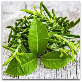 Obraz Styler Glasspik Spice 2 B, 20 × 20 cm