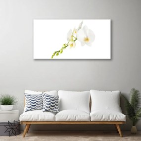 Skleneny obraz Kvety rastlina príroda 140x70 cm