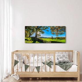 Obraz - Výhľad na pole (120x50 cm)
