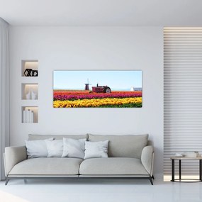 Obraz tulipánové farmy (120x50 cm)