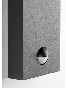 Rabalux 7267 - Vonkajšia nástenná lampa so senzorom SAVANO 1xE27/40W/230V IP44