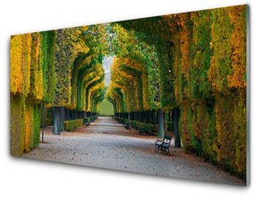 Obraz na akrylátovom skle Park jeseň záhrada príroda 120x60 cm