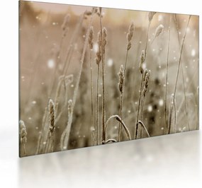 Sklenený obraz - Harmonická lúka (70x50 cm)
