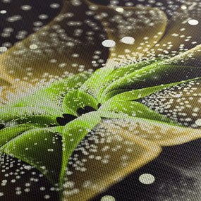 Obraz - Detail kvetu (90x60 cm)