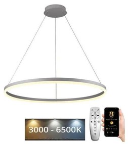 Brilagi - LED stmievateľný luster na lanku CIRCLE LED/55W/230V 3000-6500K + diaľkový ovládač
