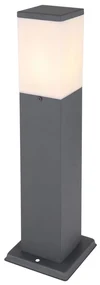 Globo 31731