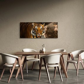 Obraz tigra (120x50 cm)