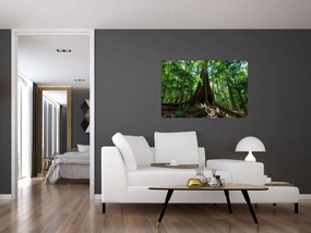 Obraz - Korene stromu (90x60 cm)