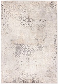 Kusový koberec Apollon krémovo sivý 120x170cm