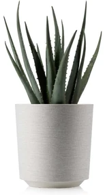PLASTOVÝ KVETINÁČ ALOE TX 19,5X20 CM KRÉMOVÁ