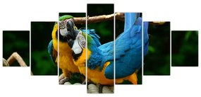 Obraz papagájov na lane