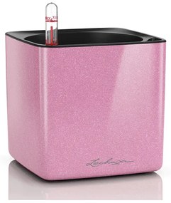 Lechuza Cube Glossy 14 All inclusive set sweet candy high gloss glitter 14x14x14cm