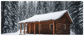 Obraz - Zasnežená chata (120x50 cm)