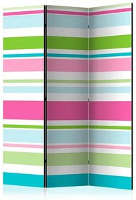 Paraván - Bright stripes [Room Dividers] Veľkosť: 135x172, Verzia: Jednostranný