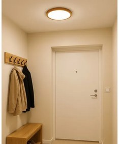 LED Stropné svietidlo LED/18W/230V 3000/4000/6500K pr. 23 cm béžová