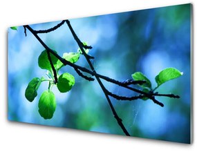 Obraz plexi Vetva listy rastlina príroda 125x50 cm