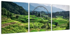 Obraz ryžových polí (s hodinami) (90x30 cm)