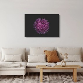 Obraz fialovej kvetiny (90x60 cm)