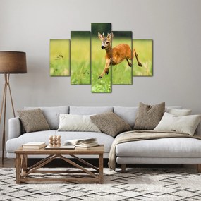 Obraz - Srnček (150x105 cm)
